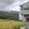Отель Xianju Stomping Songs Homestay, фото 1