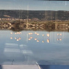 Отель Flamants Roses 3, фото 1