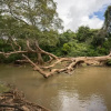 Отель Jungle river humbhaha hostel, фото 3