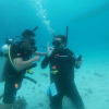 Отель Avila's Horizon Dive Resort, фото 26