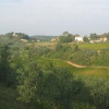 Отель Chianti House, фото 10