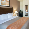 Отель Comfort Inn I-20 Midland Stanton, фото 7
