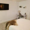 Отель Stylish & Newly-Renovated Suites near Las Olas, фото 2