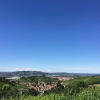 Отель Agriturismo Paitin, фото 9