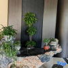 Отель jingxian Oriental Garden Hotel, фото 9