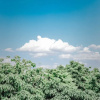 Отель Dali Dream Plus Homestay, фото 22