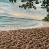 Отель Savannah Beach Club Hotel, фото 13