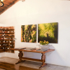 Отель Poas Volcano Lodge, фото 2