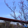 Отель Danba Time Starry Sky Guesthouse, фото 1