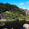 Отель Gyeongju Carpe Diem Bed And Breakfast, фото 44