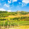 Отель small village of beautiful apartments in the green Tuscan hills and olive groves, фото 23