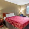 Отель Econo Lodge Inn And Suites Dickson, фото 31