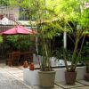 Отель Soksan Angkor Garden Guesthouse в Сиемреапе