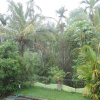 Отель Room in B&B - Wayanad Stay- The Coffee-suite, фото 10