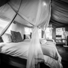 Отель Shindzela Tented Safari Camp, фото 6