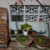 Отель ChaChi homestay - Hostel, фото 7