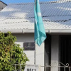 Отель Blue Almond Hostel San Andres, фото 1
