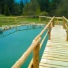 Отель Domki w Kasinie, фото 8