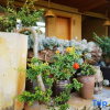 Отель Puzhehei Homestay for the rest of his life, фото 7