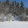 Отель Ferienwohnungen Moosbach, фото 13