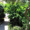 Отель Raggio di Sole Bed & Breakfast, фото 5
