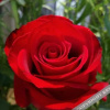 Отель mengtongjiudian, фото 6