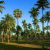Отель Sunrise Resort, фото 4