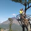 Отель Arnolds Family Homestay, фото 12