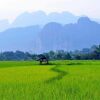 Отель Vang Vieng Savanh Sunset view resort, фото 14