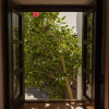 Отель Casa Rústica, фото 15