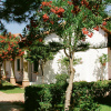 Отель Club Marispica, фото 10