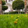 Отель Malibu Resort Hotel, фото 9