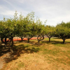 Отель Nice Holiday Home for 5 People, Within Walking Distance of the Beach, фото 17