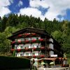 Отель Natur- und Wanderhotel am Steinbachtal, фото 1