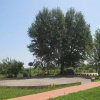 Отель Villa Fiona, фото 12
