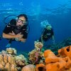 Отель Sifa Diving Resort, фото 12