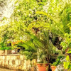 Отель Casa Filomena, фото 8