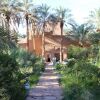 Отель Riad Tagmadart Ferme D'hôte, фото 24