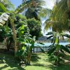 Отель Hideaway Apartments Grenada в Сент-Эндрю