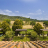 Отель Poggio Agli Ulivi Agriturismo, фото 18