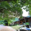 Отель Moganshan Dream Hotel, фото 9