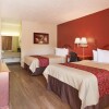 Отель Red Roof Inn Montgomery - Midtown, фото 4