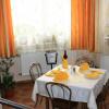 Отель Pensiunea Steluta, фото 14