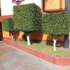 Отель San Juan Inn, фото 13