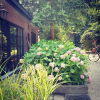 Отель MOMO Vakantie Logies, фото 23