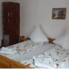 Отель Pensiunea Letitia, фото 2