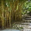 Отель Bambu Inn, фото 1