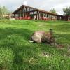 Отель Geysir Hestar, фото 24