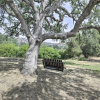 Отель Family Home Near Kings & Sequoia National Parks!, фото 10