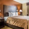 Отель Quality Inn O'Hare Airport, фото 7
